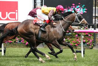 Main Stage (NZ) claims the UCI Stakes at Flemington. 